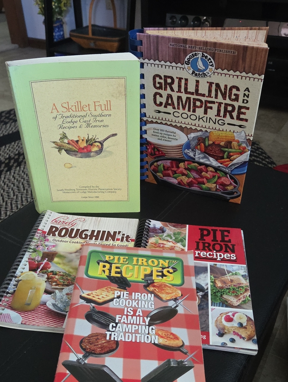 Assorted Camping/Camfire Cookbooks Bundle